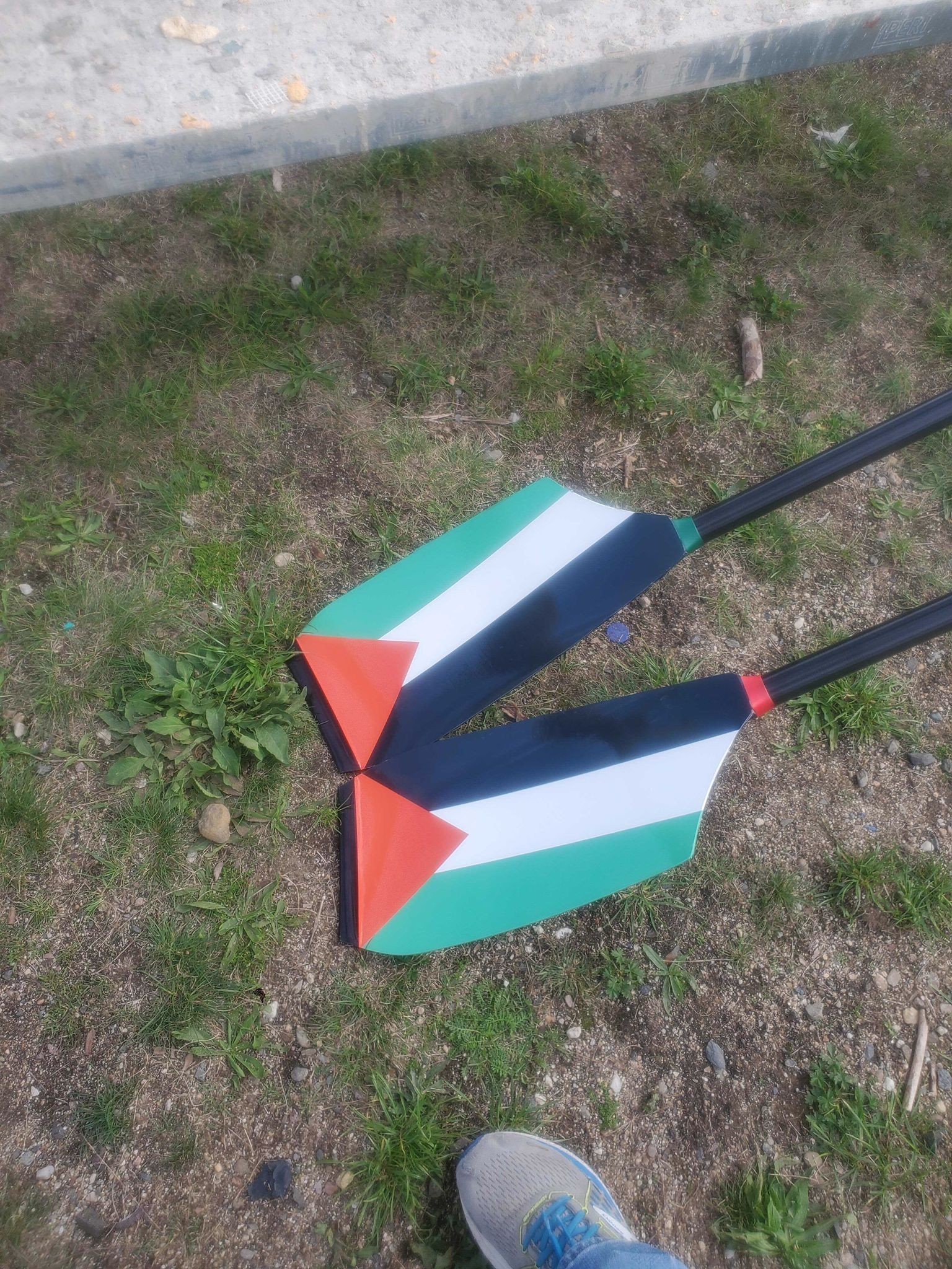 3565.jpg
